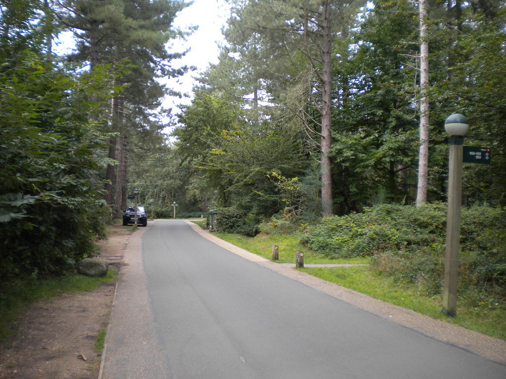 Forest Swings Play Area
