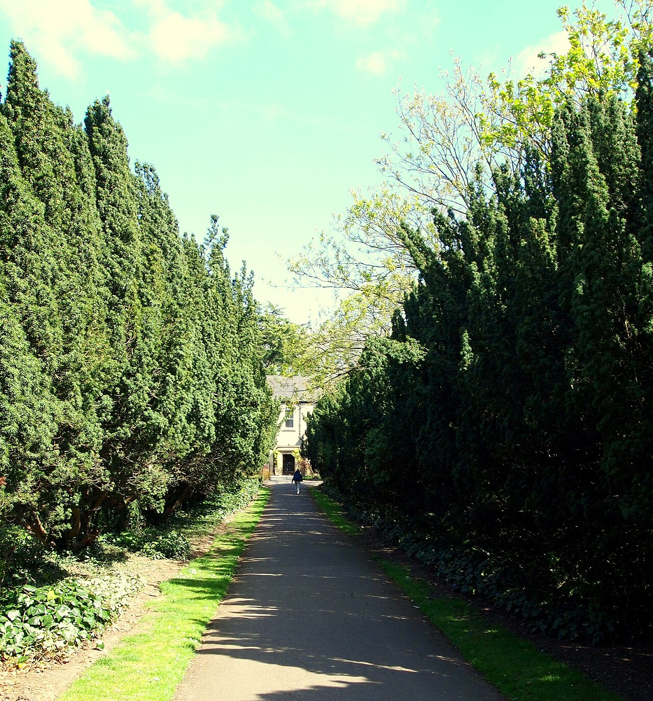 Abbey Park Play Area