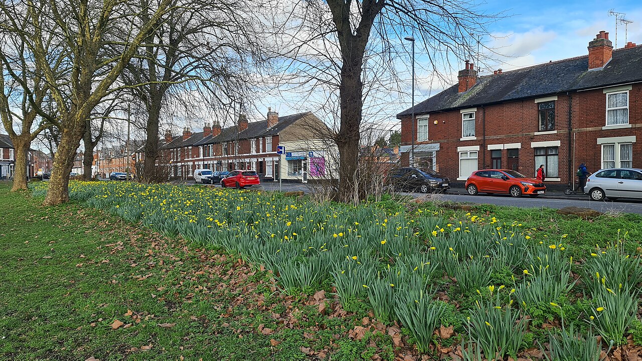 Chester Green Playground