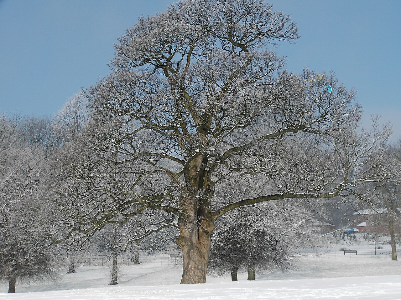 Heaton Park Animal Centre