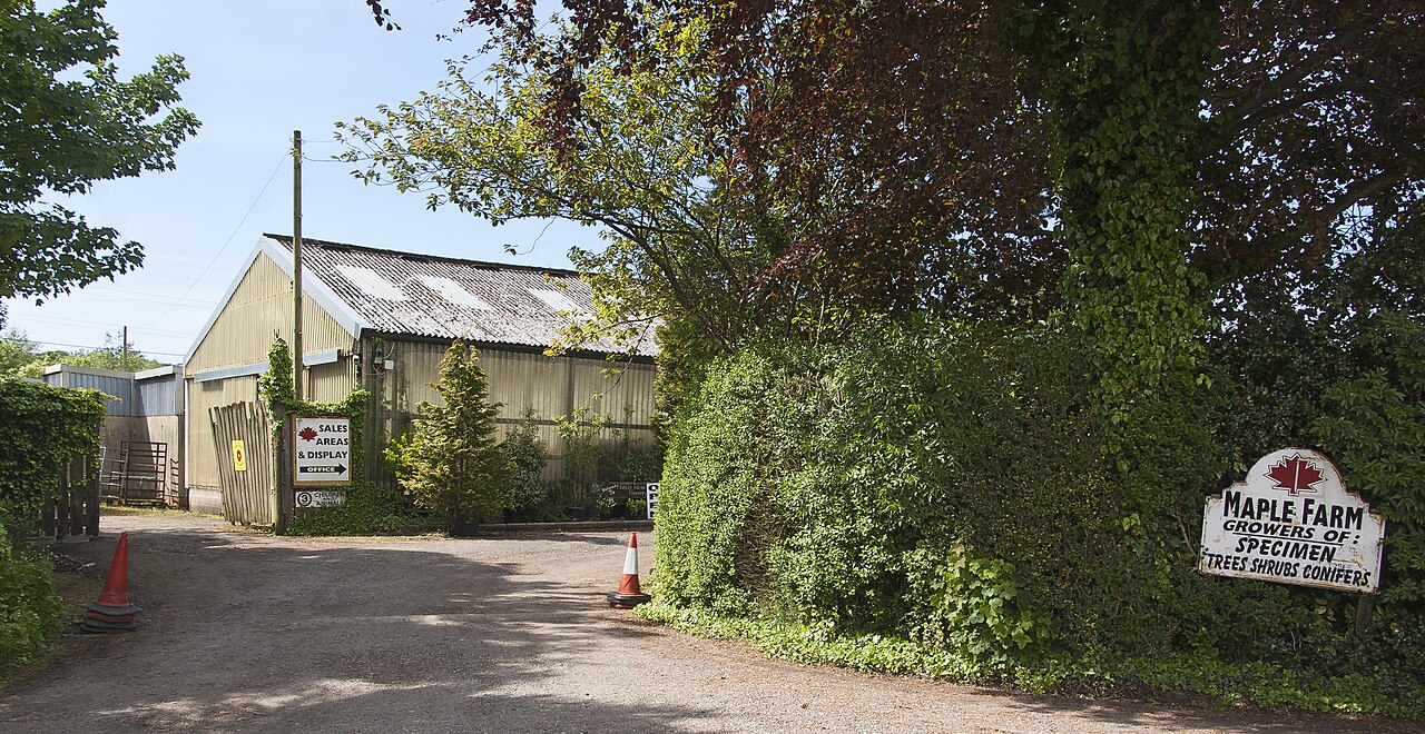 World Horse Welfare Penny Farm