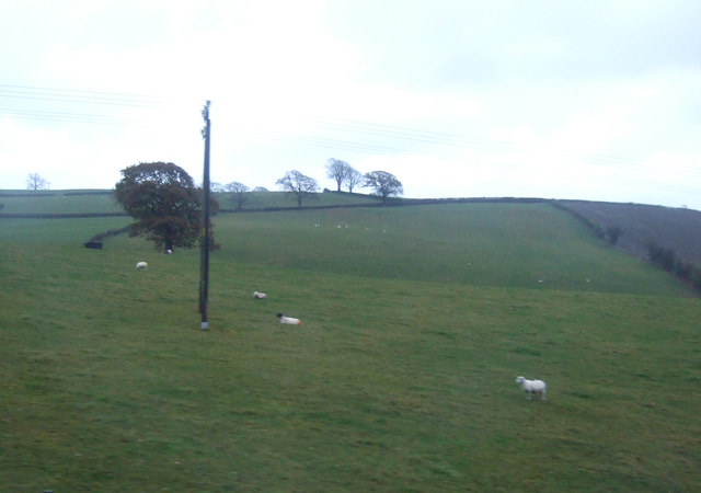 Lakeland Maze Farm Park
