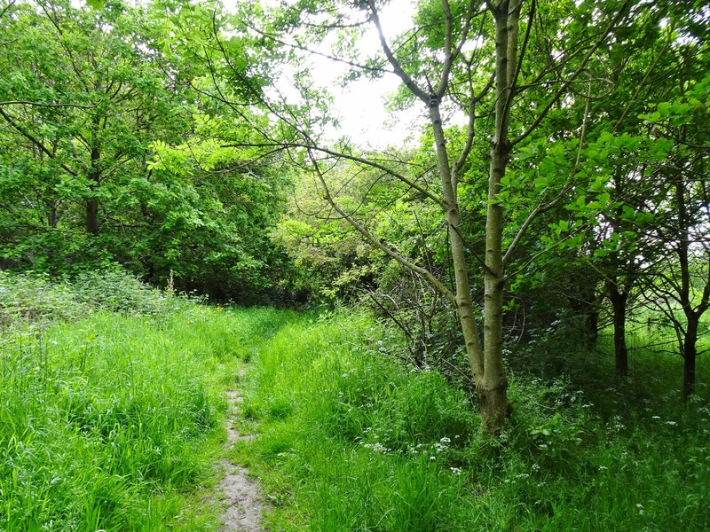 Cotwall End Local Nature Reserve