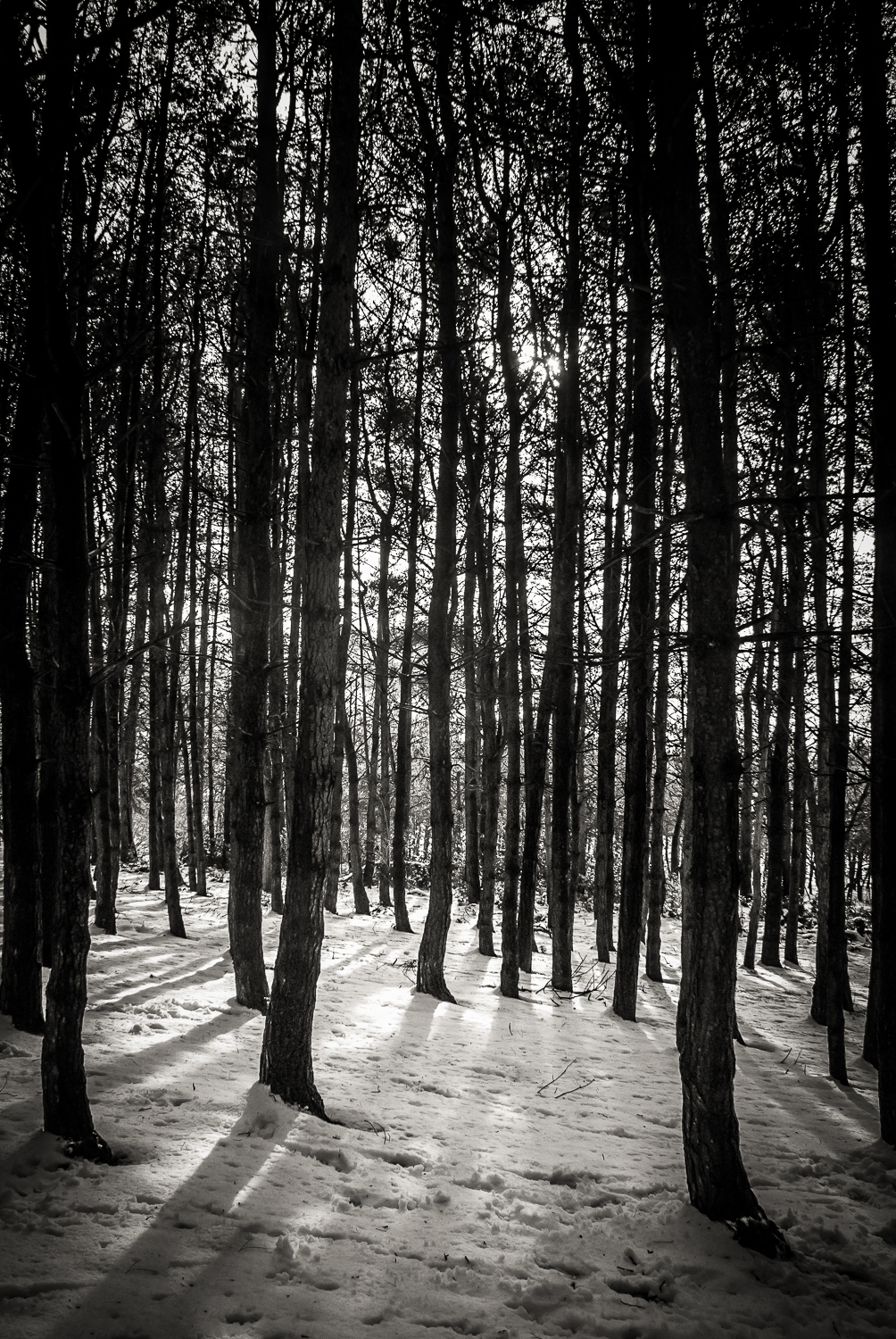 Park Hall Country Park