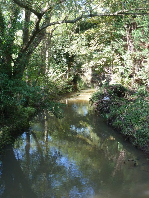 Laugherne Brook Local Nature Reserve