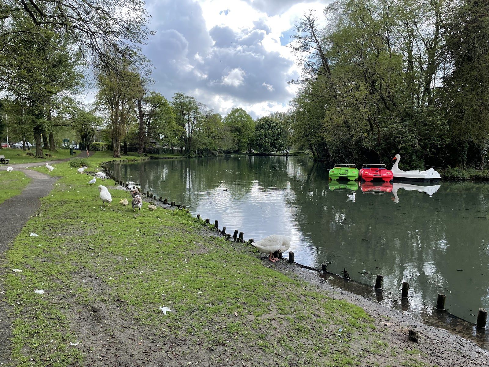 Singleton Park Boating Lake