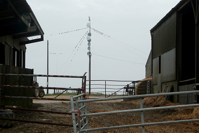 Tapnell Farm Park
