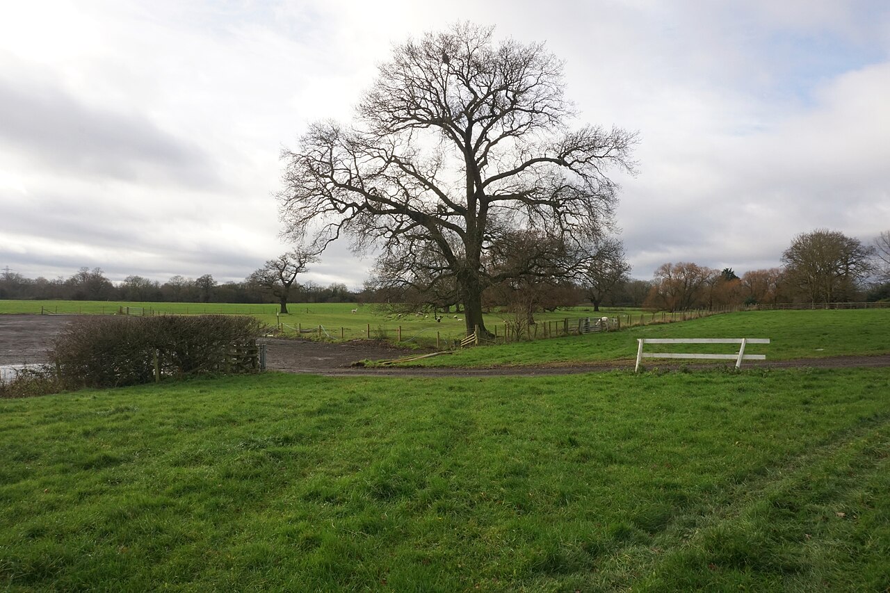 Willows Activity Farm
