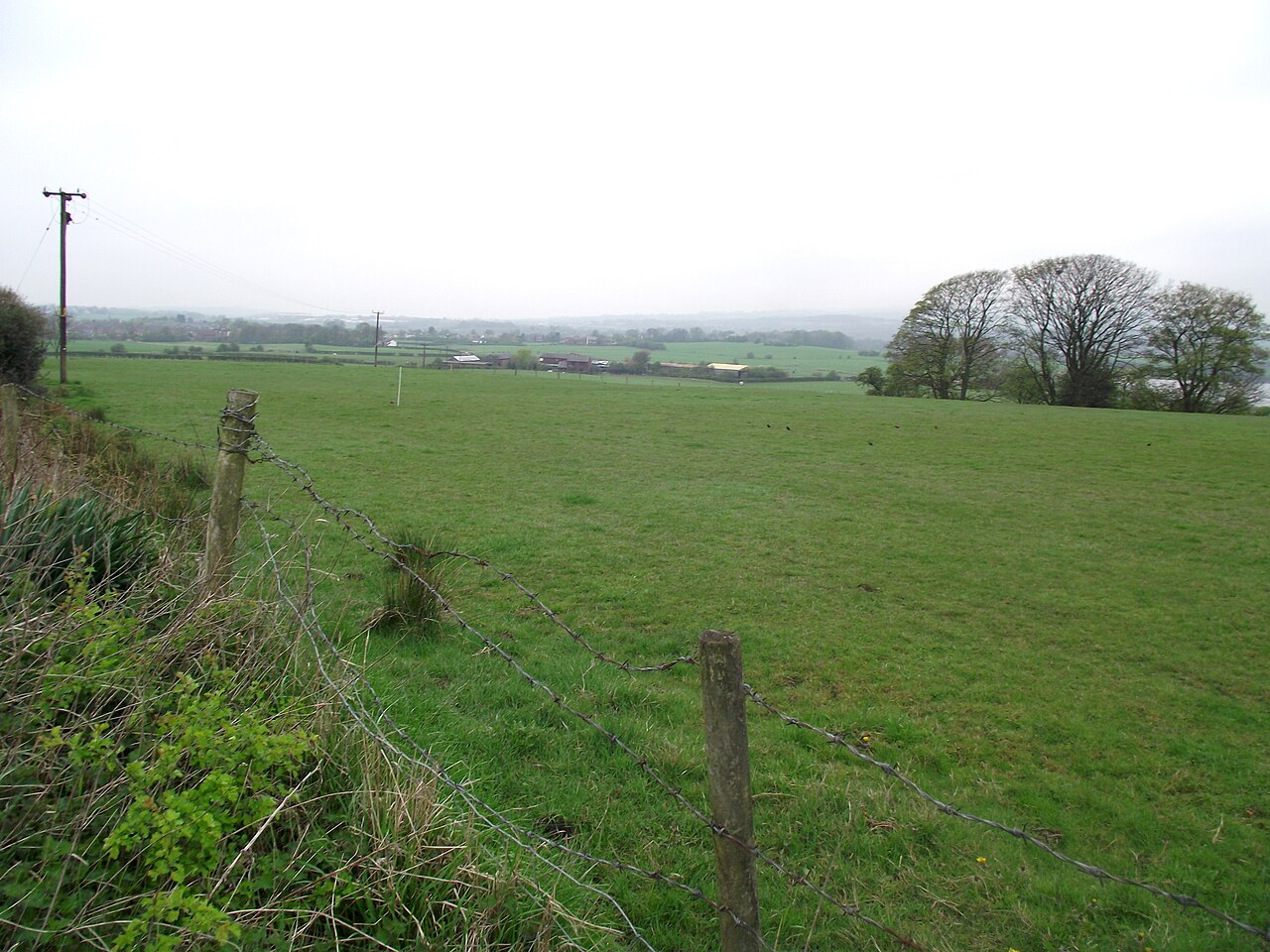 Snydale Hall Farm