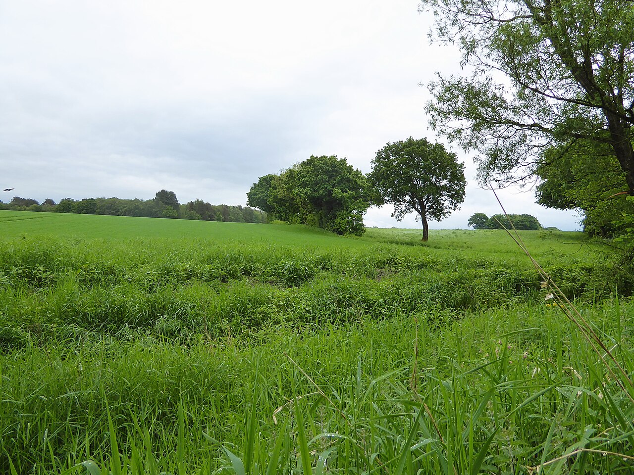 Greenslate Community Farm