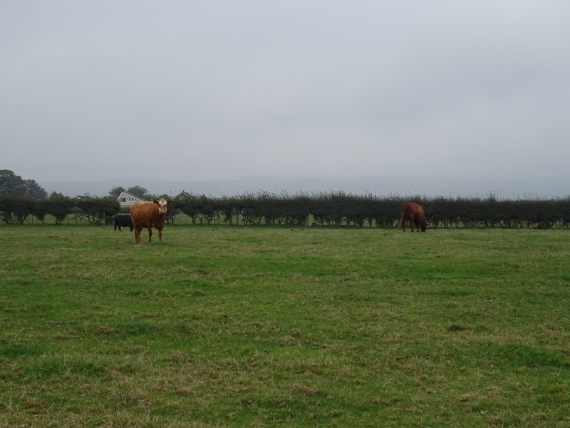 Redcliffe Farm Shop