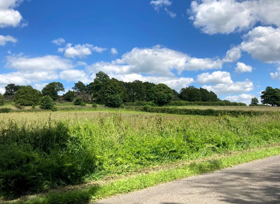 Broombriggs Farm & Windmill Hill