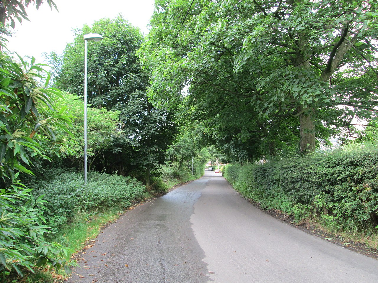 Great Eaves Farm