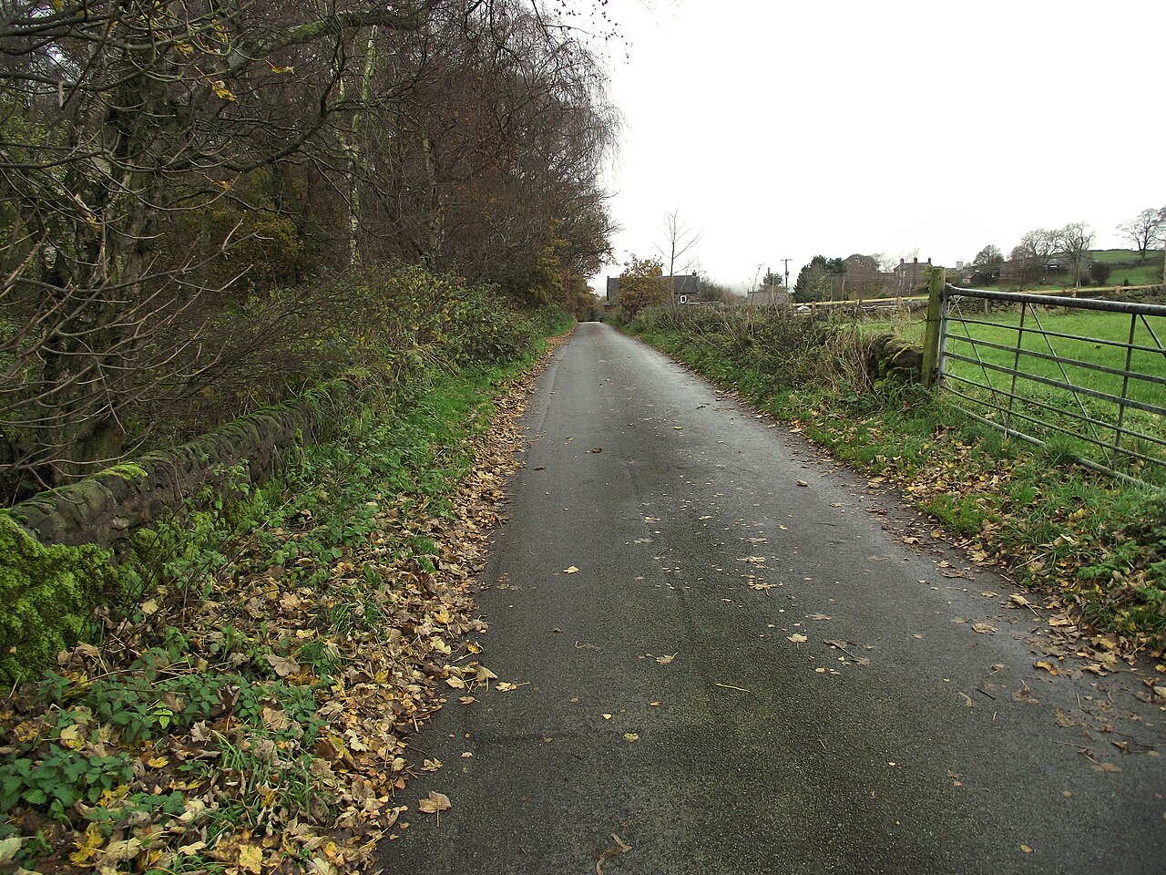 Park Farm