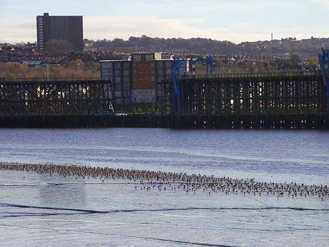 Dunston Salt Marsh