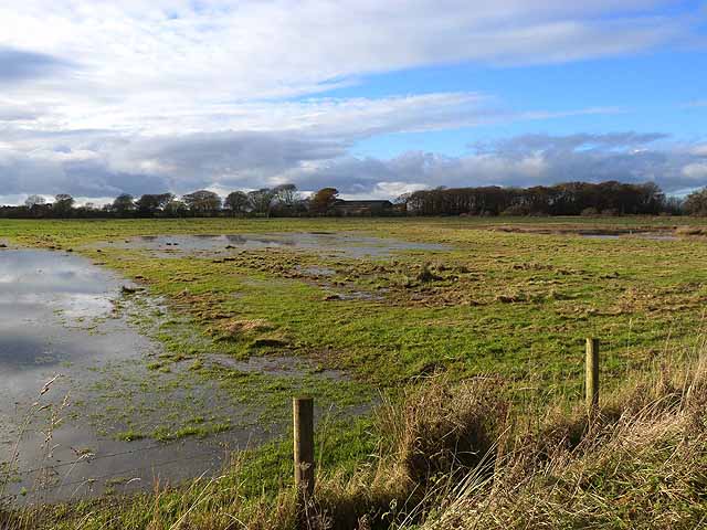 RSPB Campfield Marsh