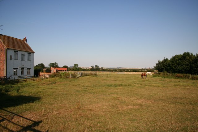 Bransby Horses Rescue and Welfare