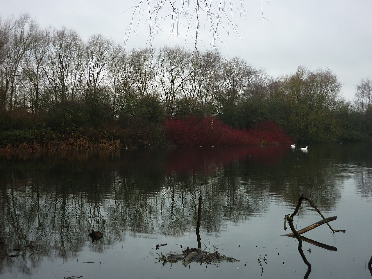 Ramsdale hide