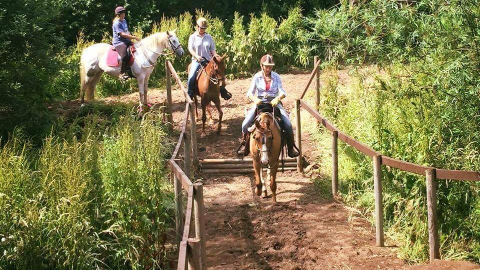 CHAPs Collingham Horse Adventure Park