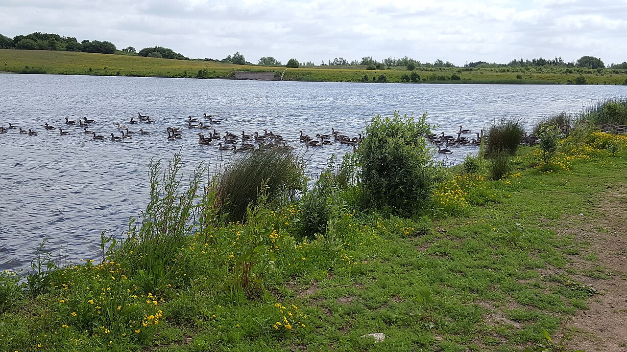 RSPB St Aidan's