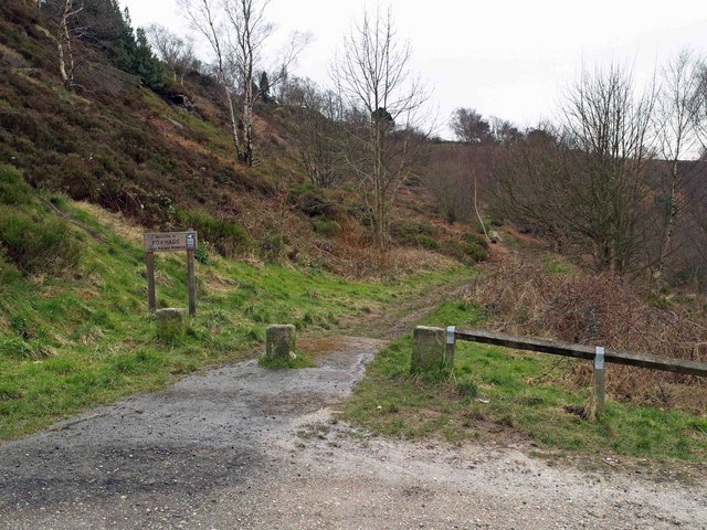 Fox Hagg Nature Reserve