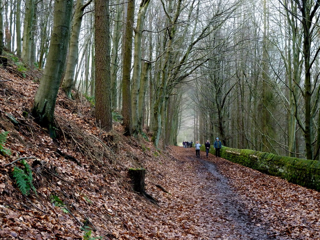 Agden Bog Nature Reserve