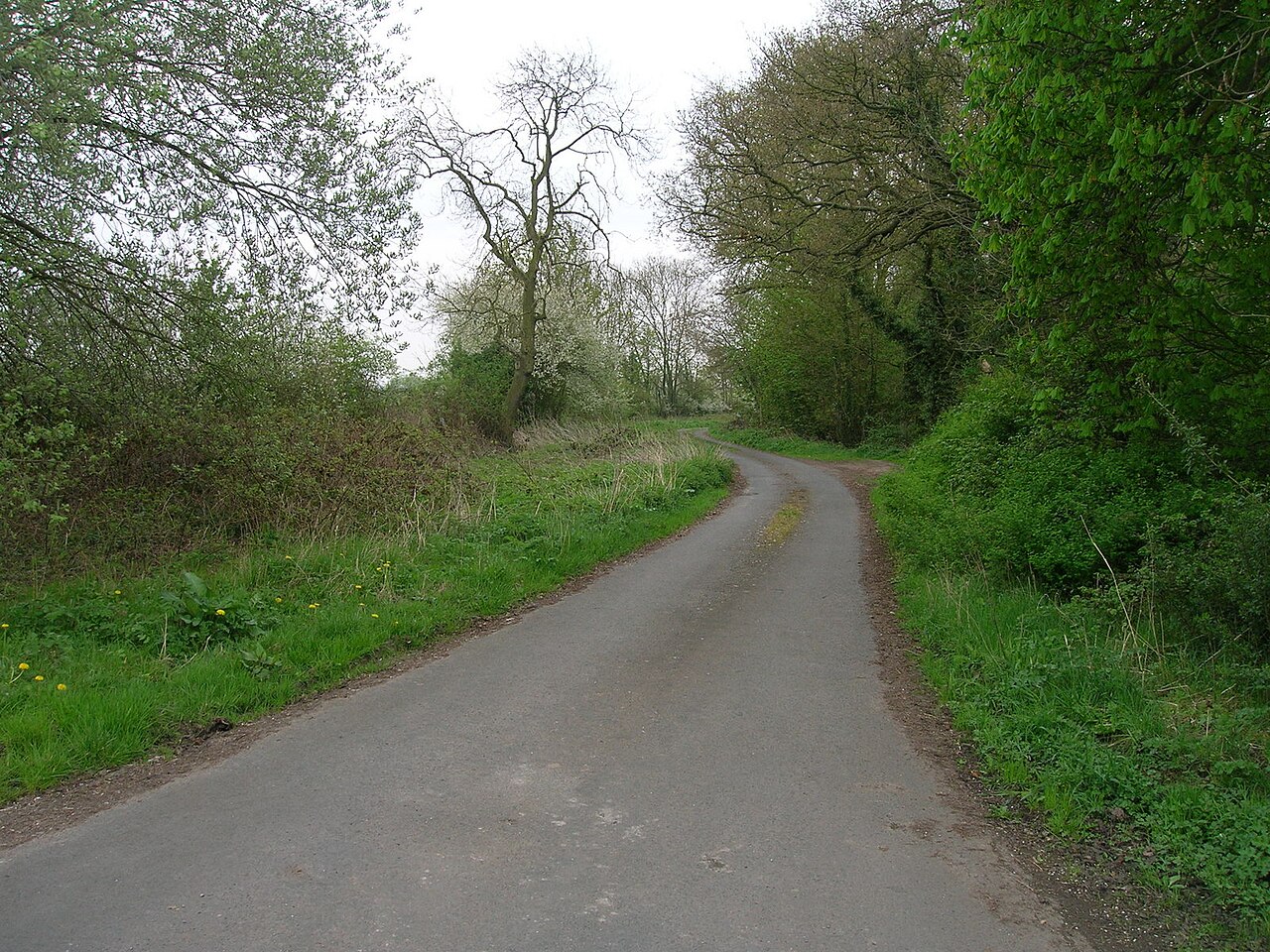 Wheldrake Ings Nature Reserve