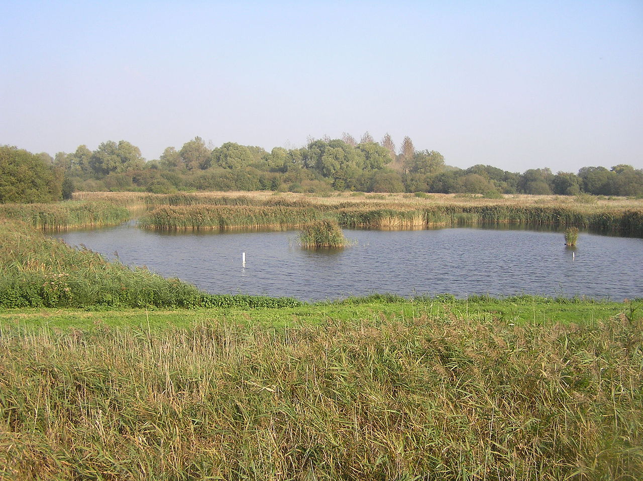 RSPB Fowlmere