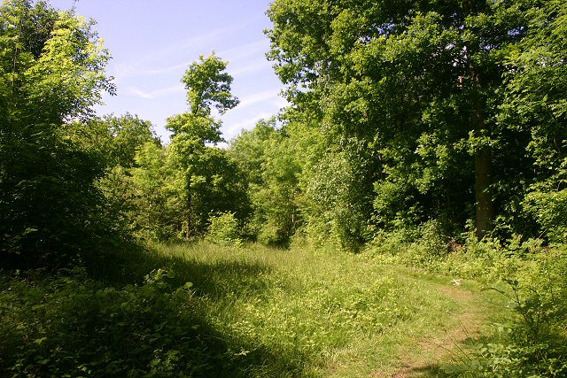 RSPB Wolves Wood