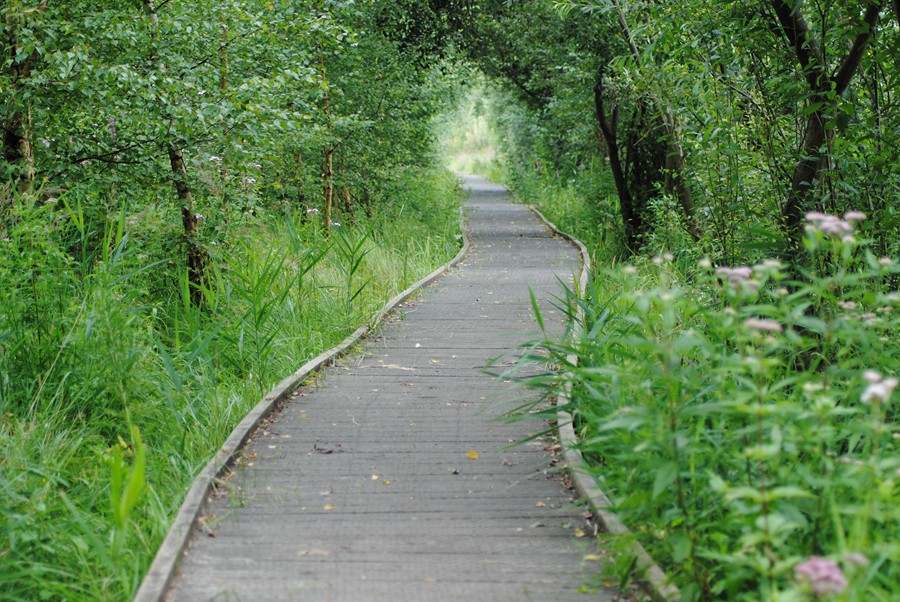 Lattersey Local Nature Reserve