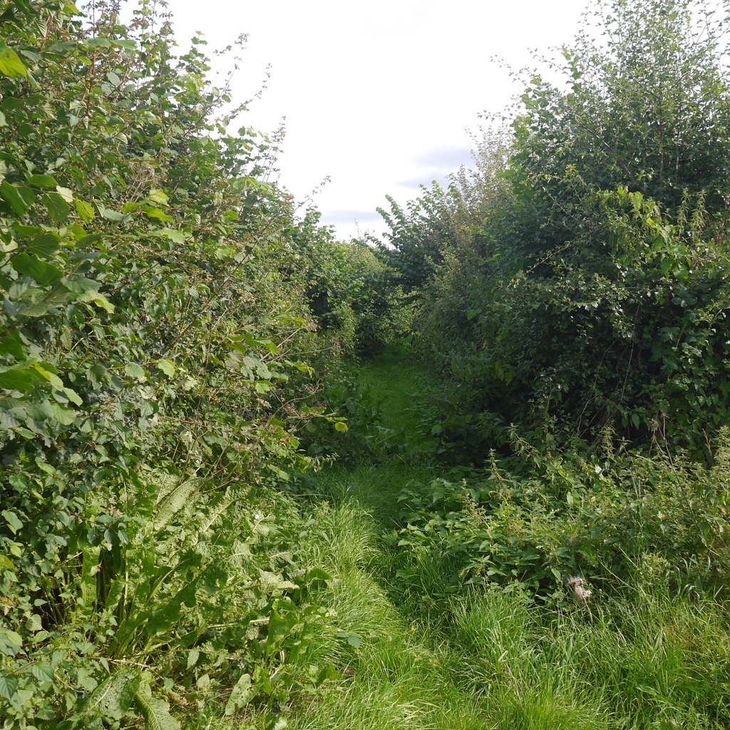Lower Hope Farms