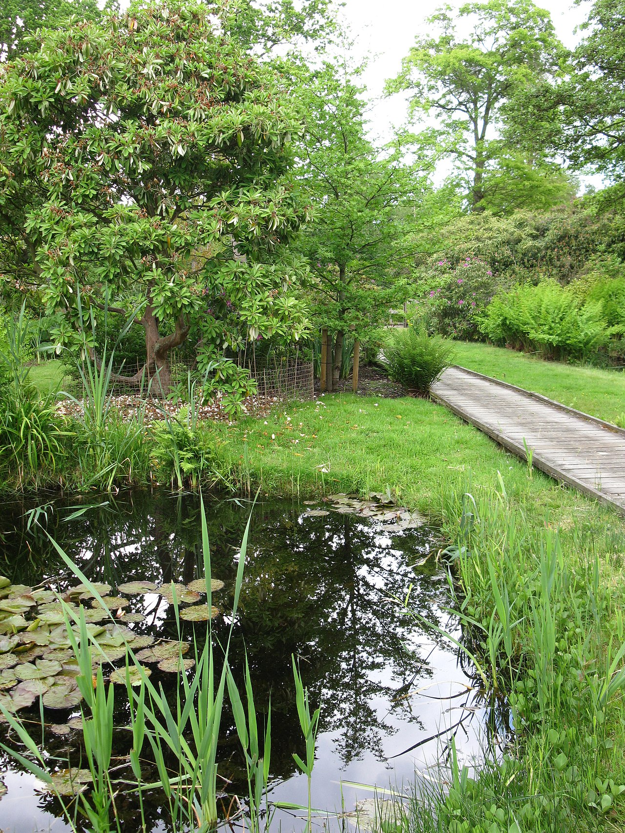 How Hill Trust Environmental Education Centre