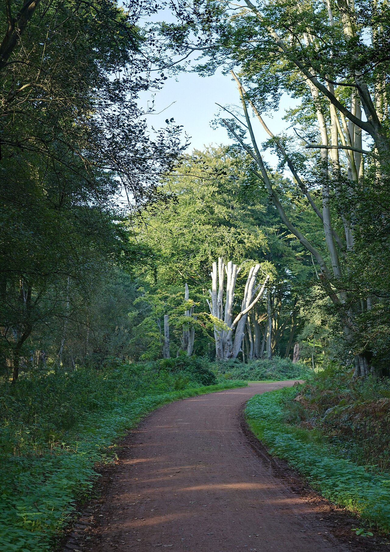 High Beech Riding School