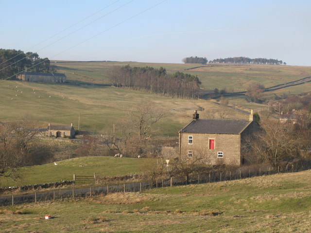 Sinderhope Pony Trekking Centre