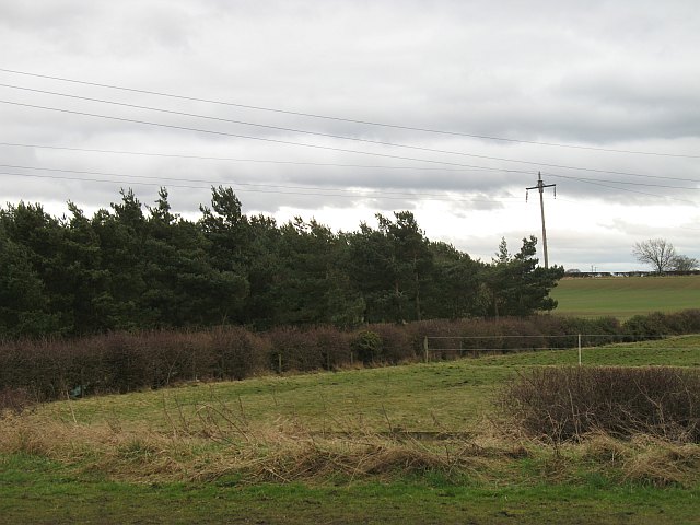 Hack Hall Farm, Sandy Lane, Dinnington, Newcastle upon Tyne. NE13 7AZ