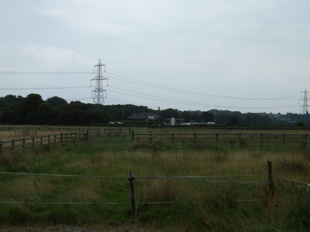 Burrows Lane Farm
