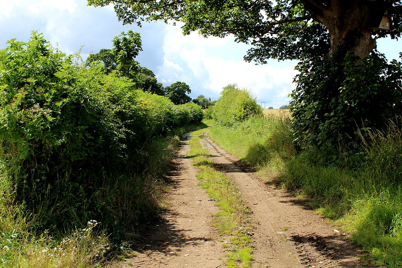 Burton Grange Equestrian