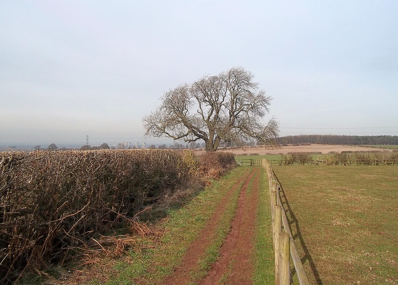 Knowle Hill Equestrian
