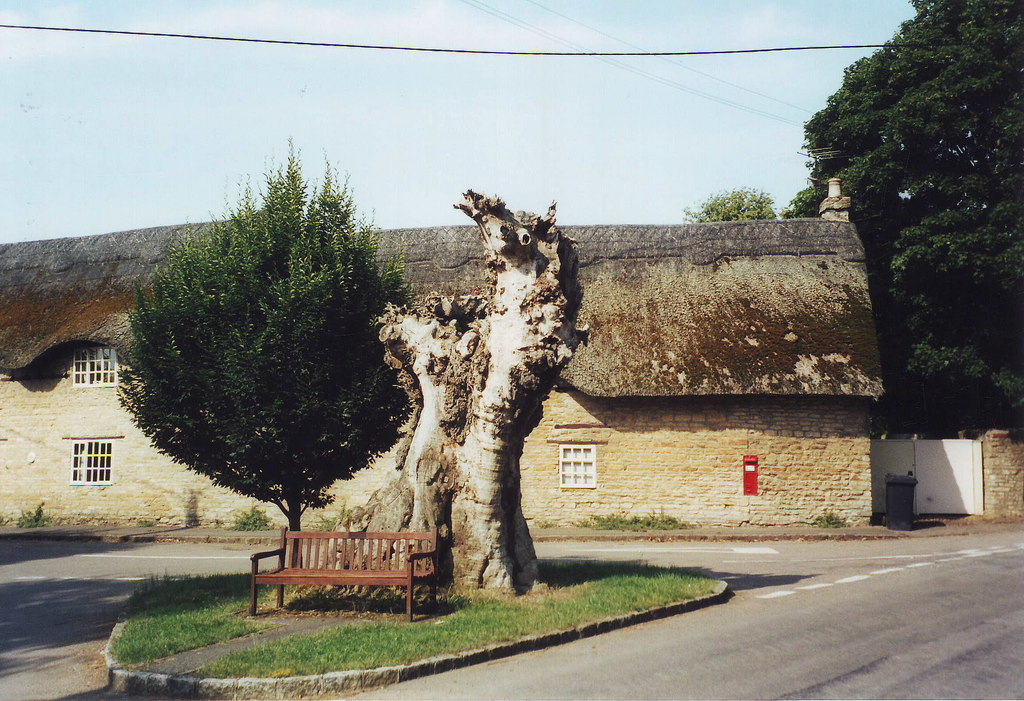Manor Farm Riding Centre