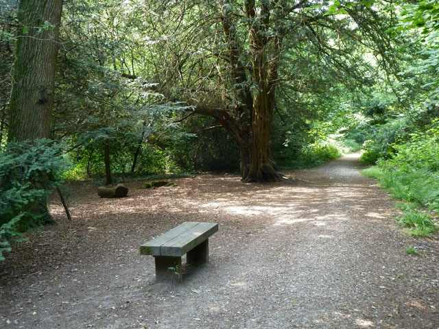 The Queen's Inclosure