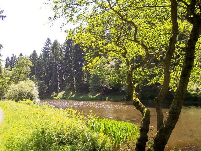 Soudley Ponds