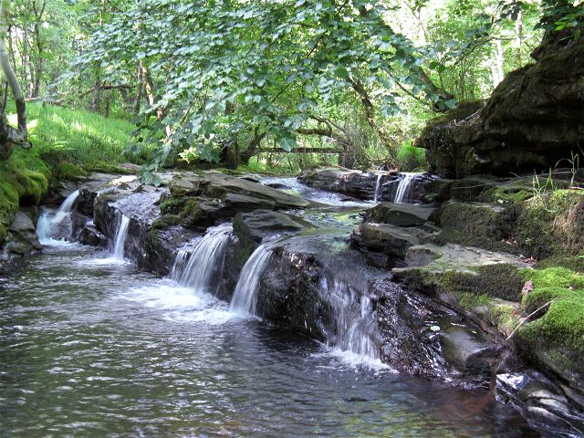 RSPB Cwm Clydach