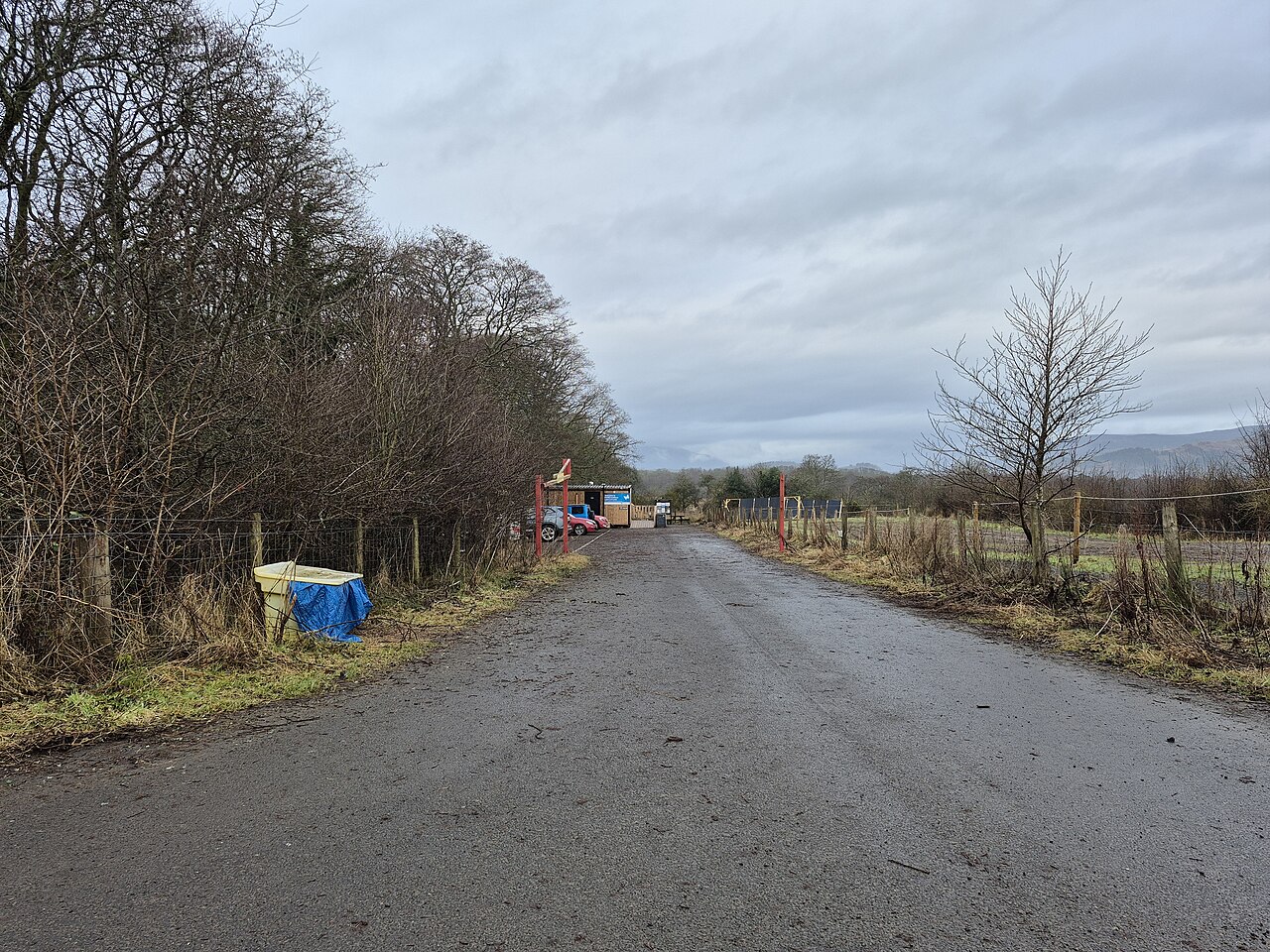 RSPB Scotland Loch Lomond
