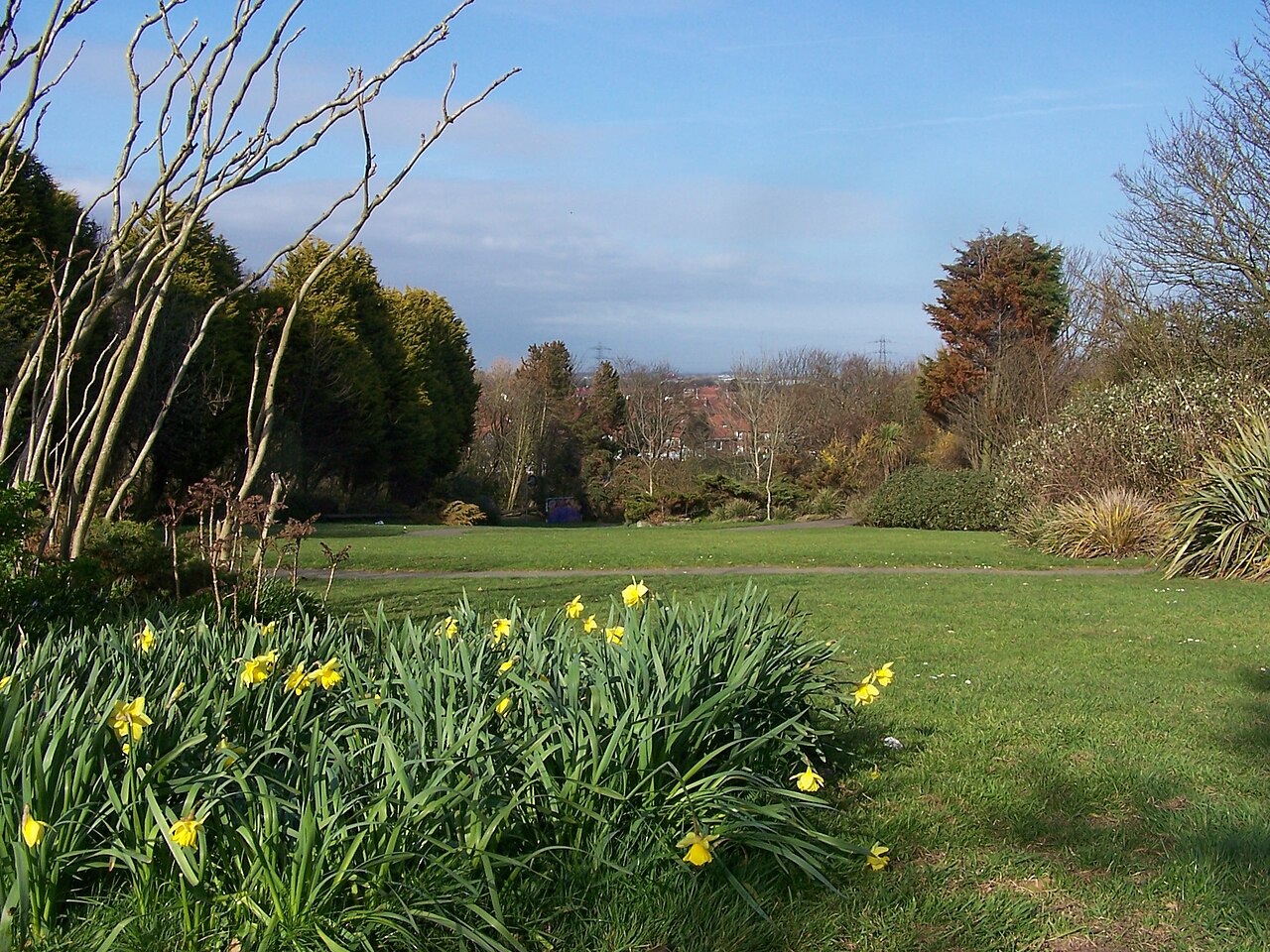 Devonshire Road Rock Gardens