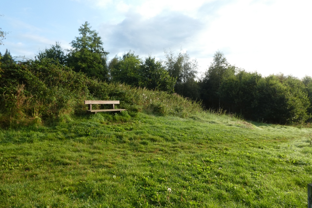 Low Burnhall Woodland Trust