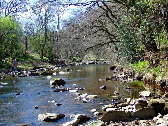 Derwent Walk Country Park