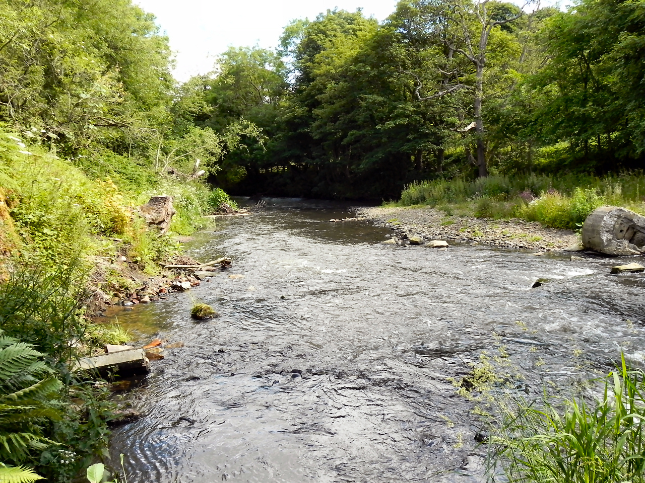Derwent Walk Country Park - Winlaton Mill