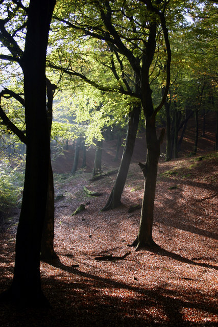Tandle Hill Country Park