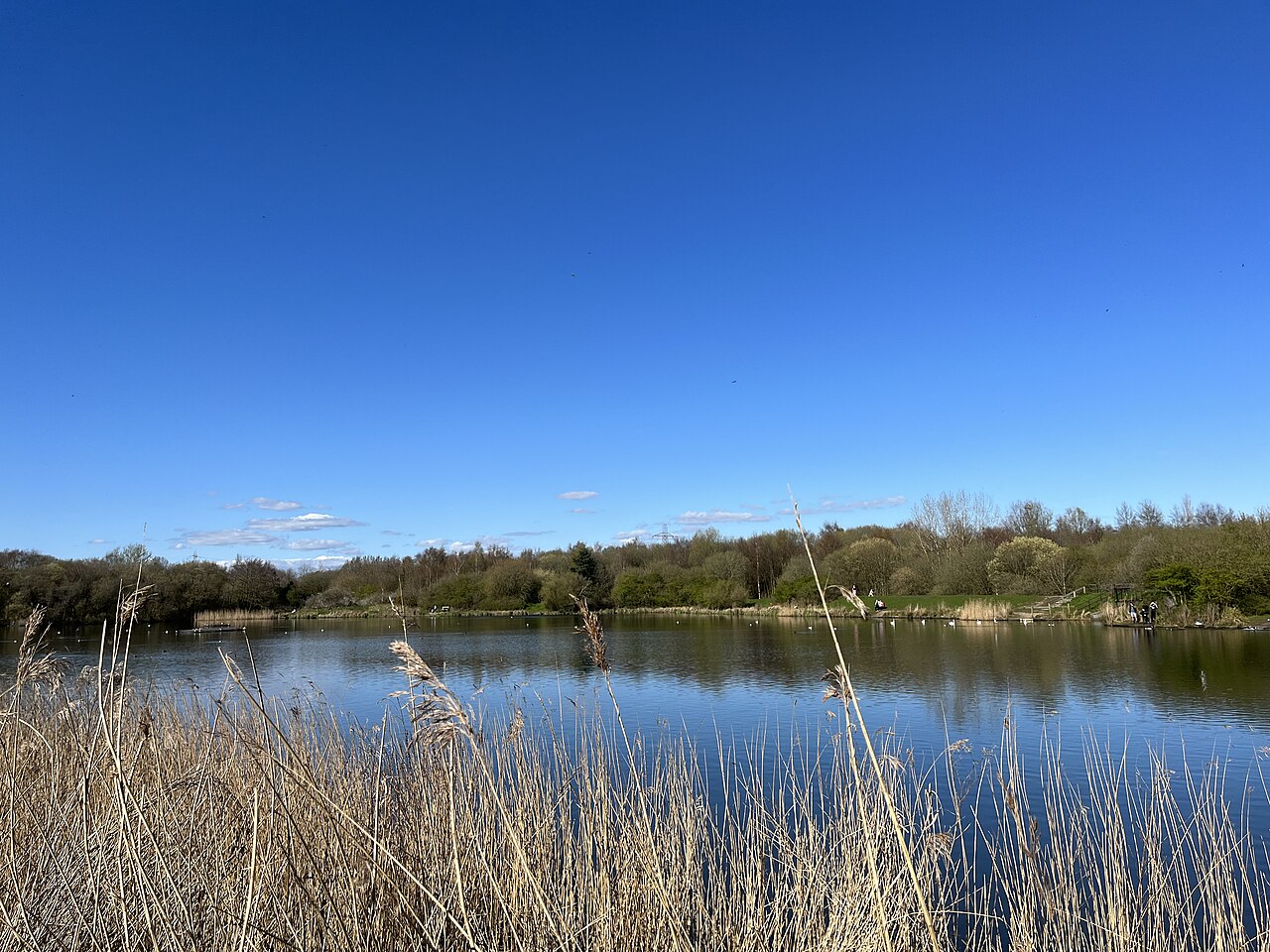 Blackleach Country Park