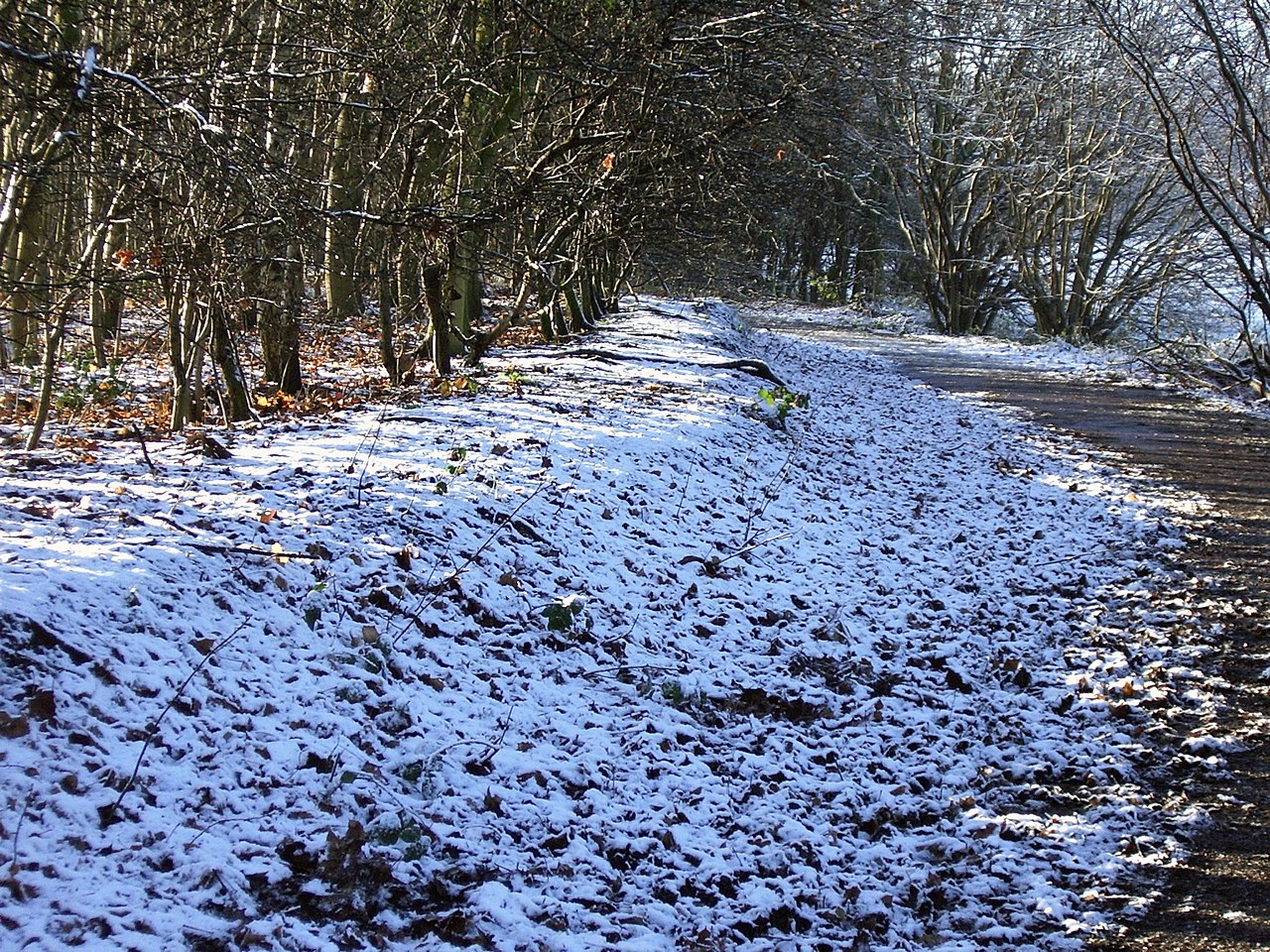 Chorlton Water Park